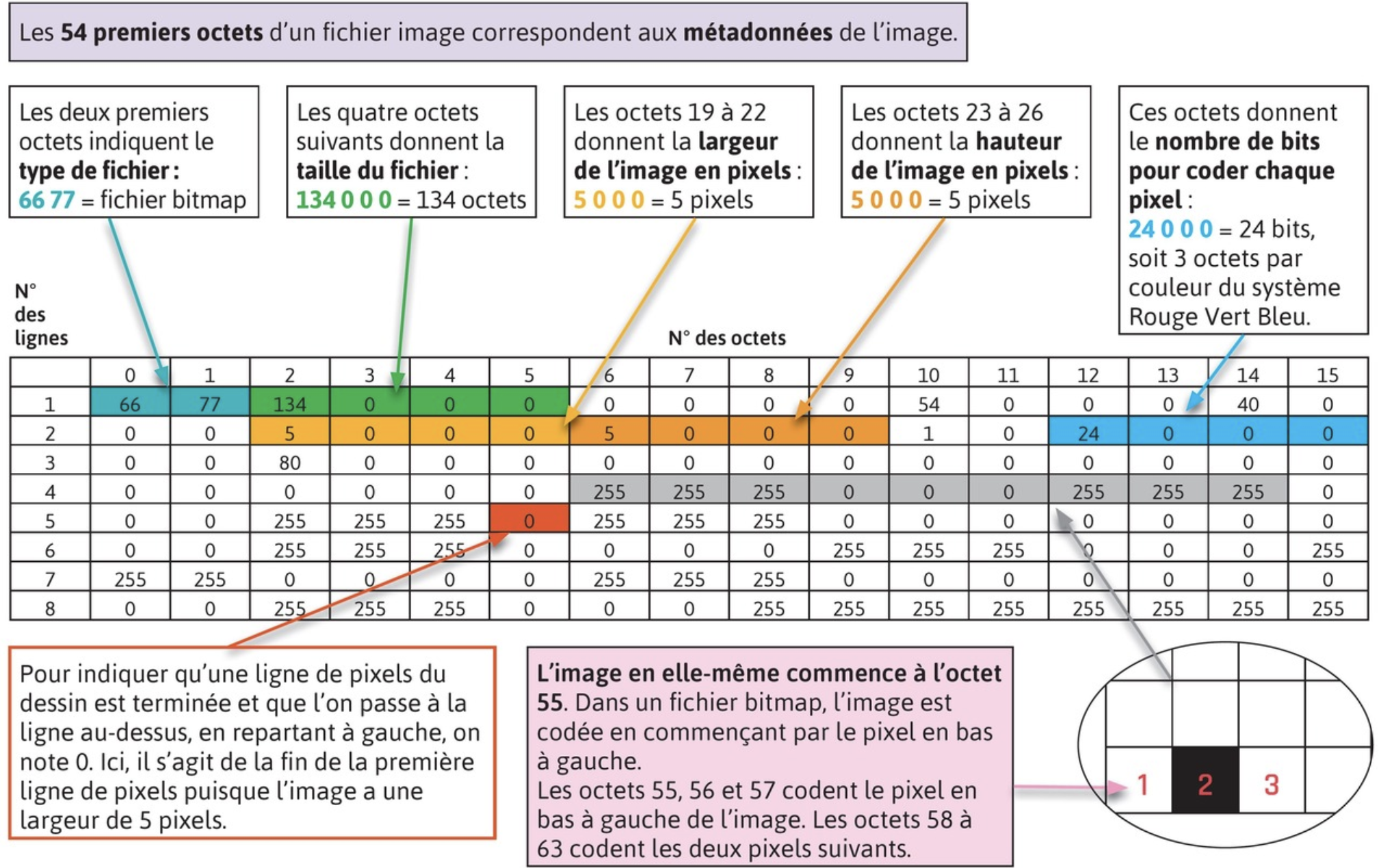 Exemple de contenu d'un fihier .bmp